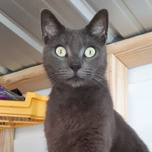 Meet your Posher, Lorena